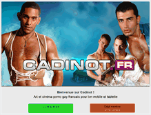 Tablet Screenshot of cadinot.fr